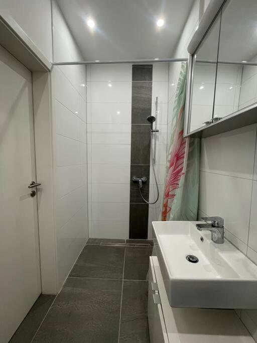 Exklusive Flughafen-Messe Apartment Naehe Duesseldorf ドゥイスブルグ エクステリア 写真